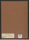 Triceratium favus Ehr. (de-Toni-Nr.: Genus 140, Species 3706) Zeichnungen Sammlung Grunow Mappe 03814 (Herbarium_W_Grunow_drawings_Folder_03814)